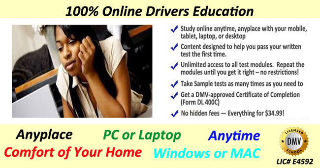 drivers-ed-overview-pic